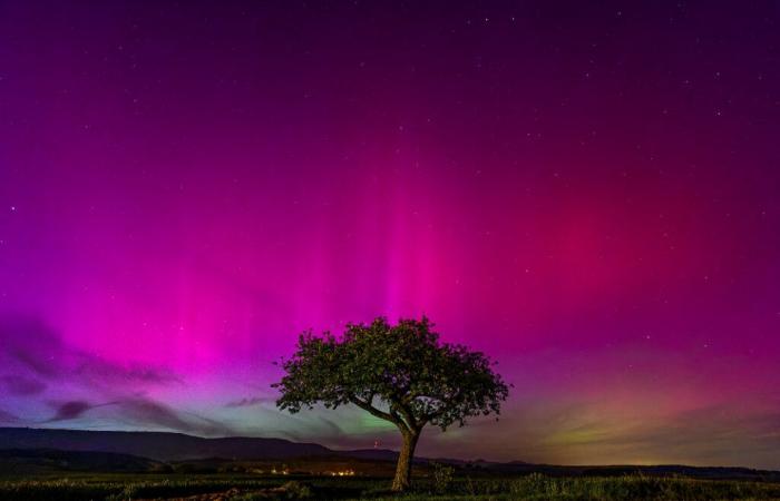 Northern lights across France this Thursday? “One of the best nights to see it in 2024”