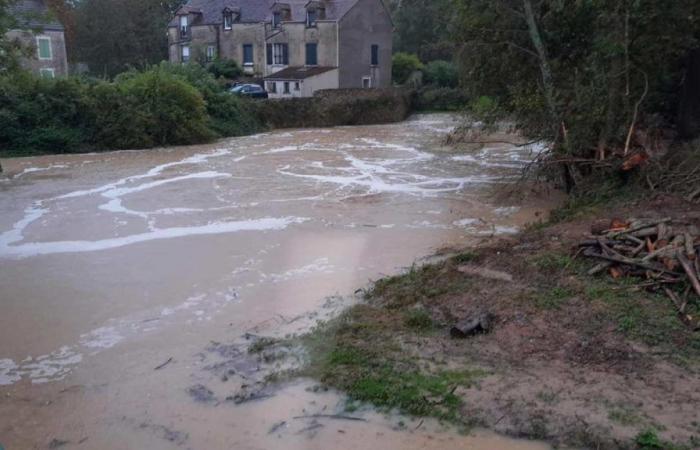 Depression Kirk: Seine-et-Marne has its feet in the water