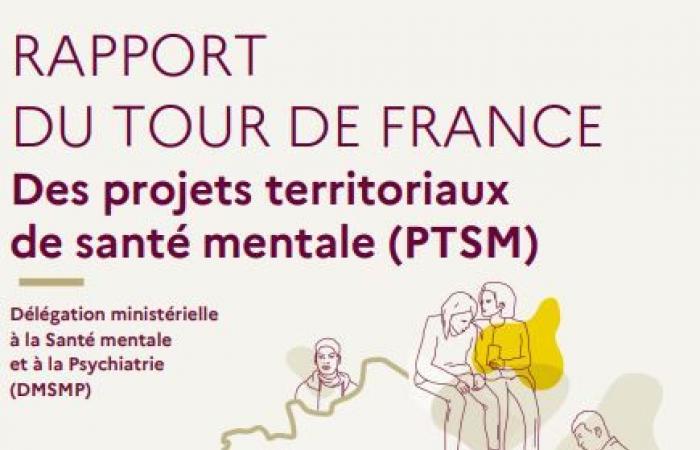 Report of the tour de France of territorial mental health projects – PTSM