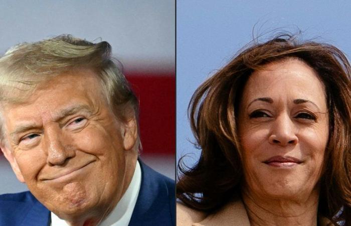 Hurricane Milton: sound bites, misinformation… Donald Trump and Kamala Harris clash over the management of natural disasters