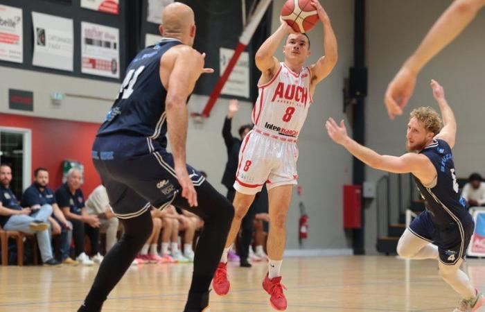 Amateur basketball – National 2: Auch wants to resume its march forward against Horsarrieu