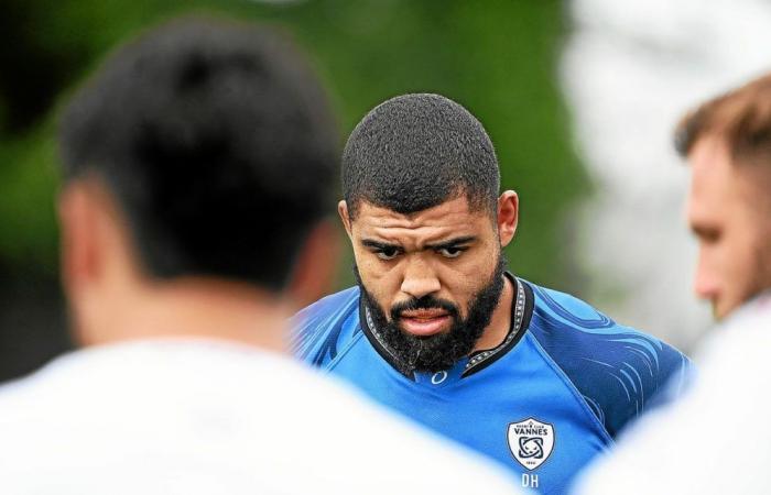 Montpellier – Rugby Club Vannes: the probable composition of the Vannes residents