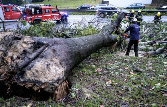 2,000 still without power due to the storm