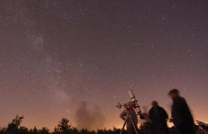 In Gironde and Landes, hunting for the starry sky