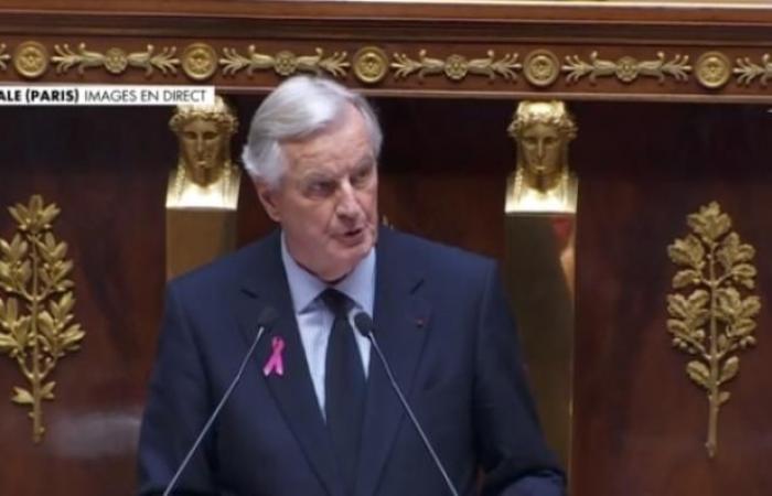 Michel Barnier plans to “double within three years” the number of adolescent centers in France, where there are currently 125 of these structures responsible for informing and supporting young people and their families