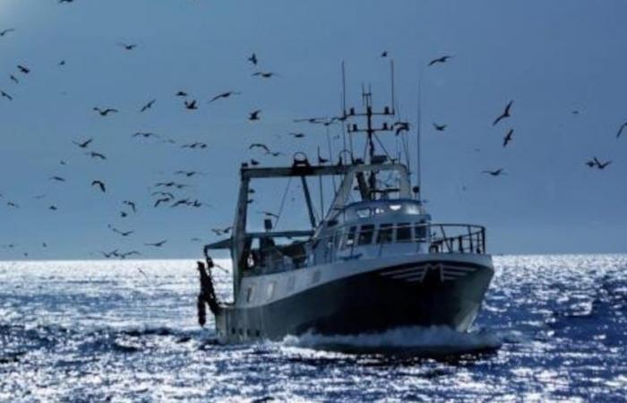 Fishing: Morocco and Russia extend their agreement, promised “a promising future”