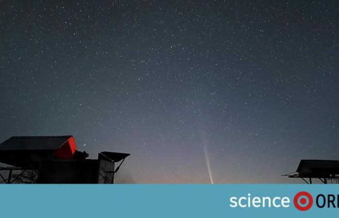 Celestial spectacle: Newly discovered comet visible over Austria