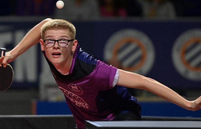 Table tennis: Triumphant welcome for the Lebrun brothers on their return to Montpellier