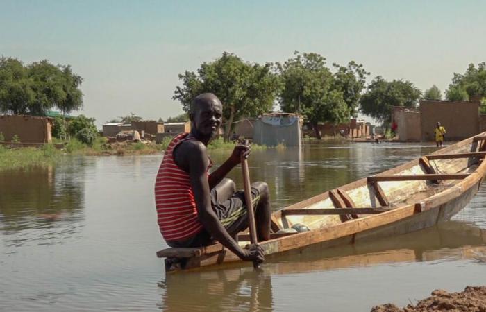 the flooding of the Chari river reaches an unprecedented level, Ndjamena still under water