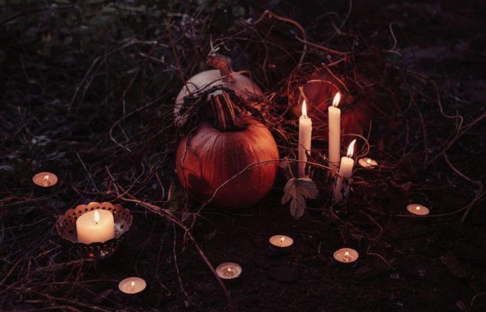 Halloween 2024: visit a scary haunted garden, in Meaux (77)