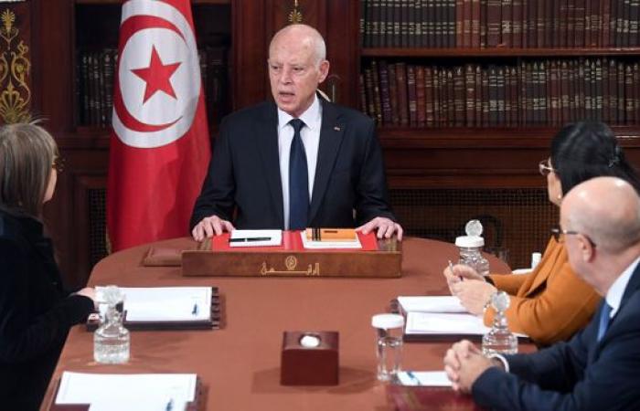 “Our friend Kaïs Saïed” exposes the Tunisian regime – Nawaat