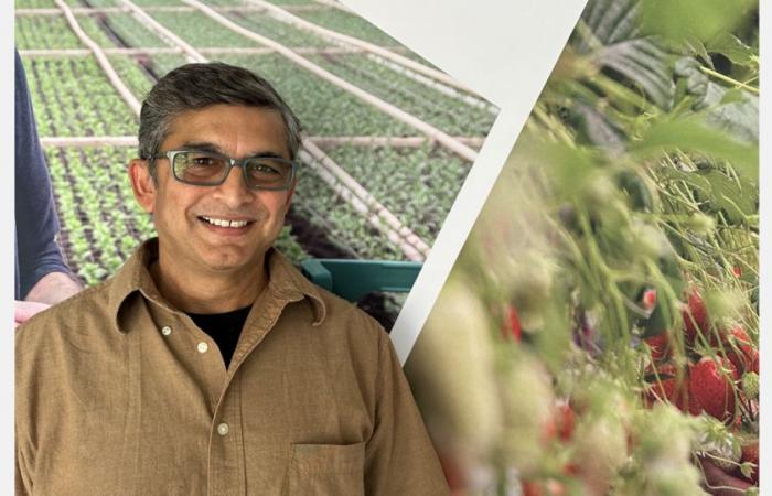 RED Horticulture expands to America