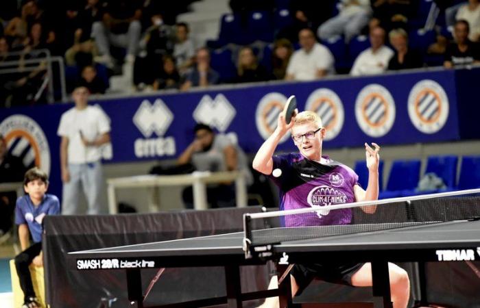 Table tennis: a winning comeback for the Lebrun brothers with the ANMTT, but it was hard!