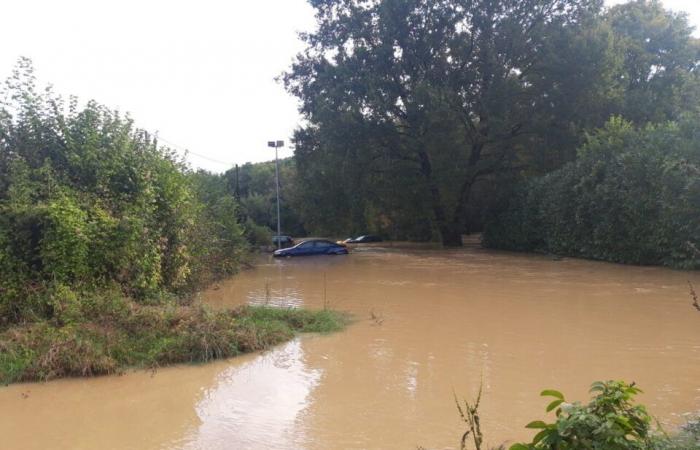 the flood has once again invaded the streets of the canton of La Ferté-Gaucher