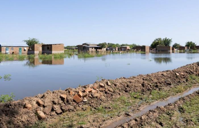 Chad: flooding of the Chari and Logone rivers threatens neighborhoods of N’Djamena