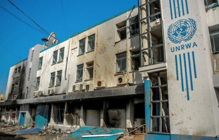 UNRWA Still in the Running for Nobel Peace Prize, Winner Announced Friday