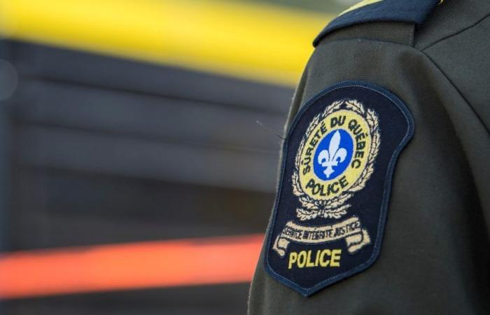 Ejected from his truck, a 29-year-old man dies in Estrie