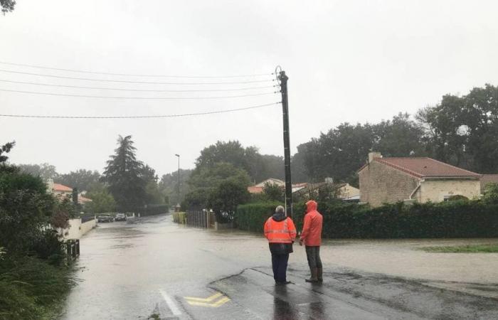 the Loire-Atlantique firefighters facing Kirk