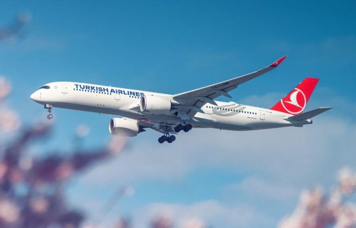 Plane makes emergency landing after pilot dies on Turkish Airlines flight | World News