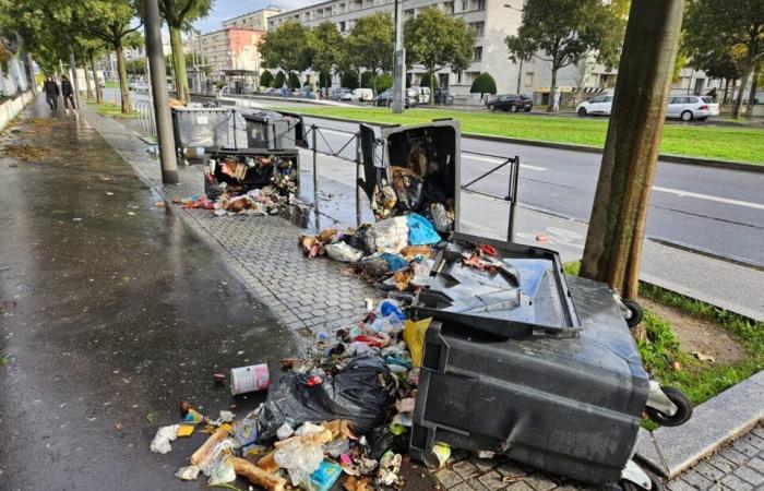 Lyon. A high school attacked by mortars, fire in front of the entrance: the police intervene