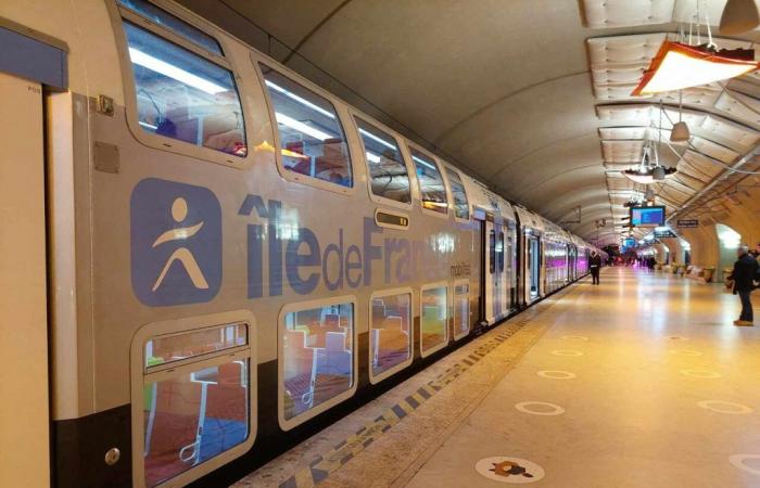 SNCF. After the passage of storm Kirk, traffic interrupted on the RER E in Paris