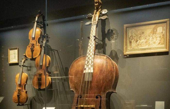 The autopsy of a violin, or how to make musical instruments speak about their past