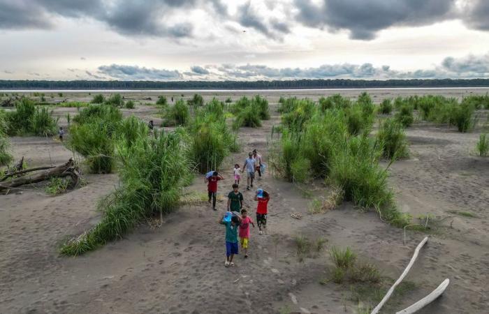 Colombia | Indigenous communities challenged by drying up of the Amazon River