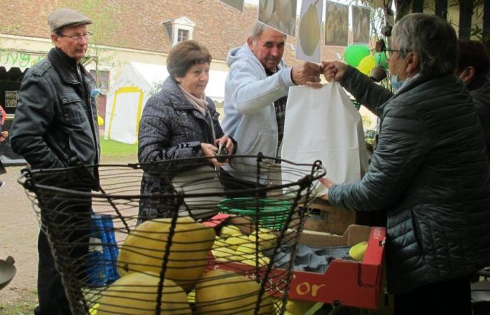 The great Argy quince festival takes place on Sunday in a little corner of paradise