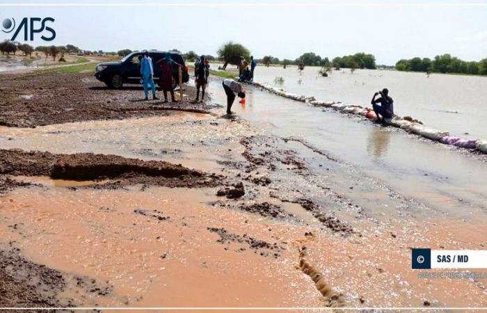 In Senegal, the daily lives of residents disrupted by heavy flooding in Dandé Mayo Nord – VivAfrik