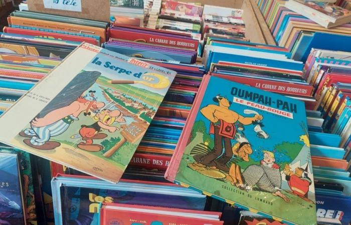 The Belfort book fair is thinking big for the 50th edition