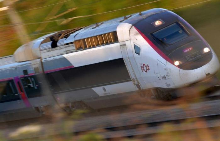 “It went boom!” »: European parliamentarians stranded in Strasbourg after an incident on their TGV