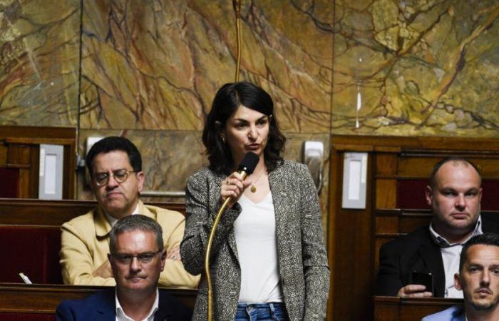 Aurélie Trouvé (LFI) becomes president of the Economic Affairs Committee against a backdrop of dissension between Macronie and LR – Libération