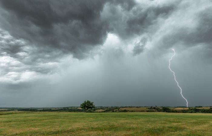 Rain forecast until end of week, effect of Storm Kirk felt to the north