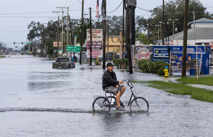 The Press in Florida | Hard awakening in Tampa