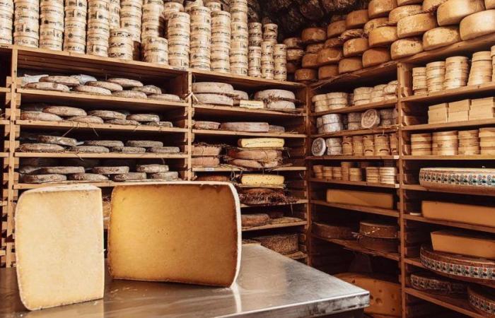 The 10 best cheese shops in Paris