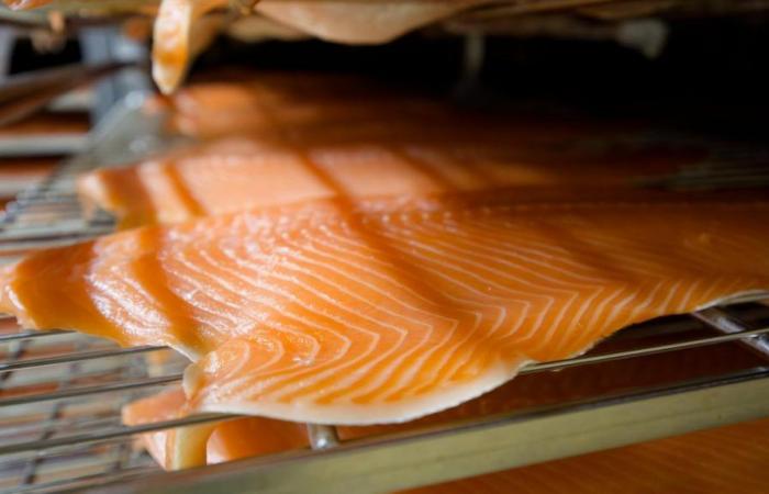 Massive recall of trout and smoked salmon: the products do not come from Boulogne