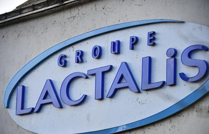 A first dairy ready to take over breeders let go by Lactalis – 10/11/2024 at 3:24 p.m.