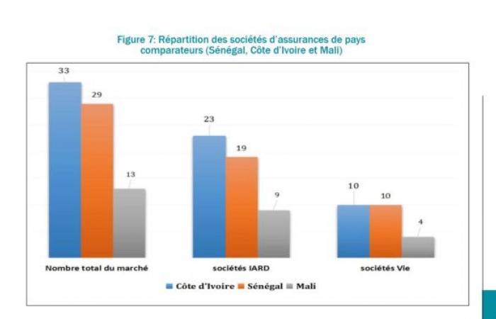 A growth of 10.13% is noted in the production activity of insurance companies in 2023