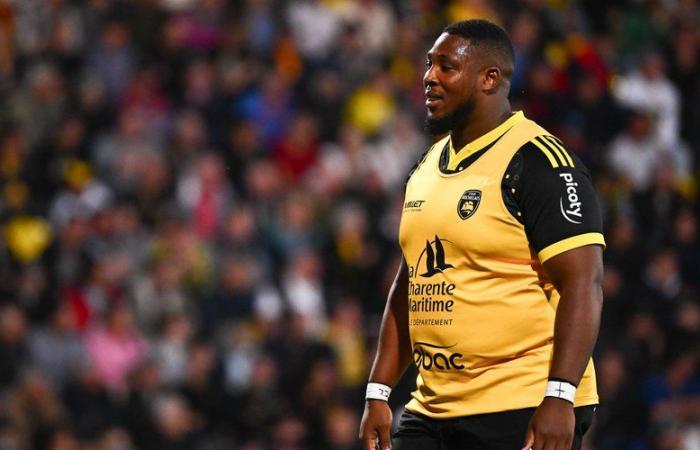 Transfers. Top 14 – International pillar Georges-Henri Colombe signed with Stade Toulouse