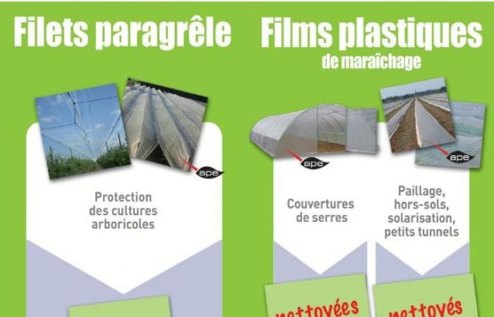 43 tonnes of agricultural waste collected in 2023 in Théüs and Avançon