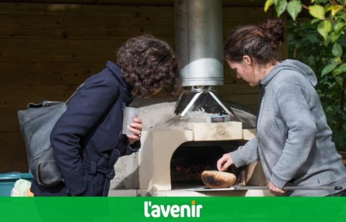 Moustier (Jemeppe): good bread to share at the bottom of the garden