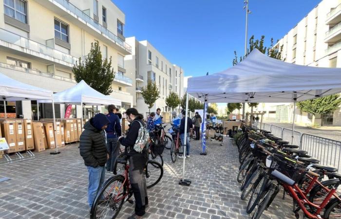 Bikes used by athletes from the Paris Olympic Games sold in Essonne