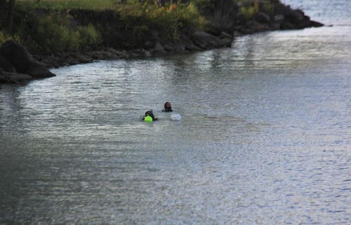 A dozen vehicles recovered from the Detroit River