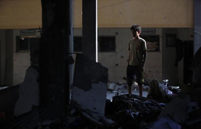 (Multimedia) Egypt, Jordan condemn Israel’s targeting of school in central Gaza Strip – Xinhua