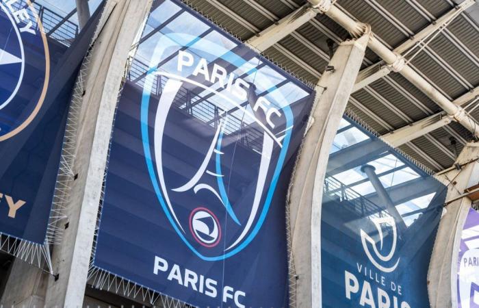 Paris FC: The €100M deal soon to be completed by the Arnault family!