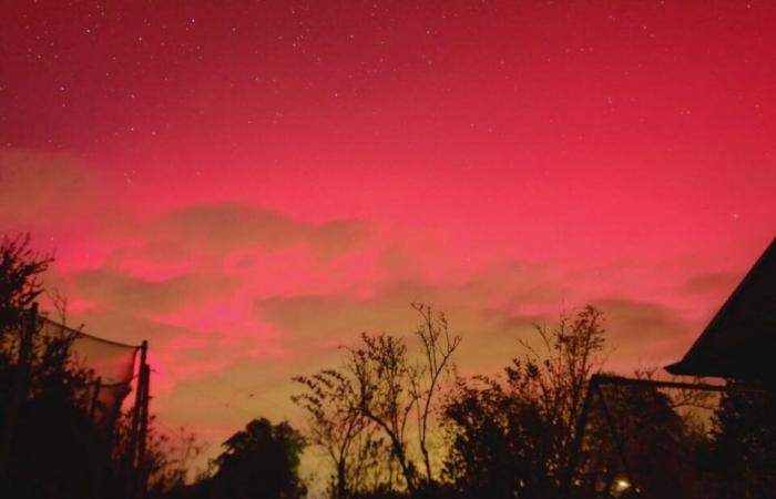 IN PICTURES. Northern lights seen in the sky of Seine-Maritime