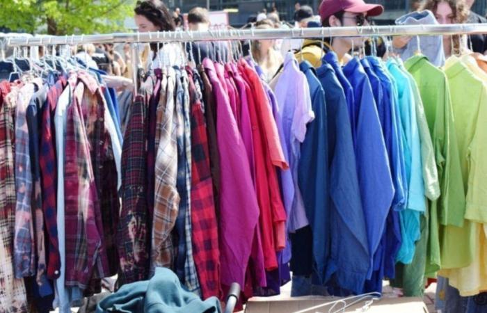 Here are the fairs and garage sales planned this weekend in Seine-Maritime