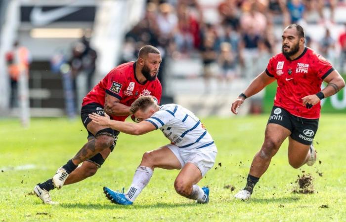 The English third row Lewis Ludlam, new rock of the RCT