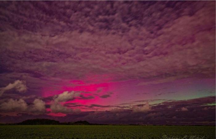 IN PICTURES. Northern lights seen in the sky of Seine-Maritime