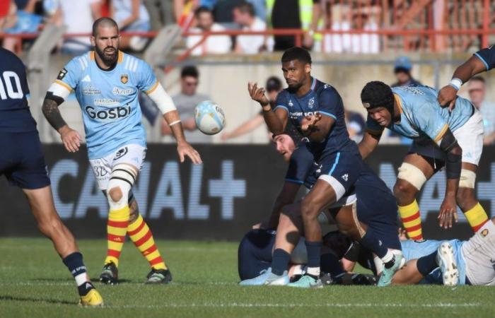 Top 14: Montpellier rugby players welcome Vannes for the “dunces match”